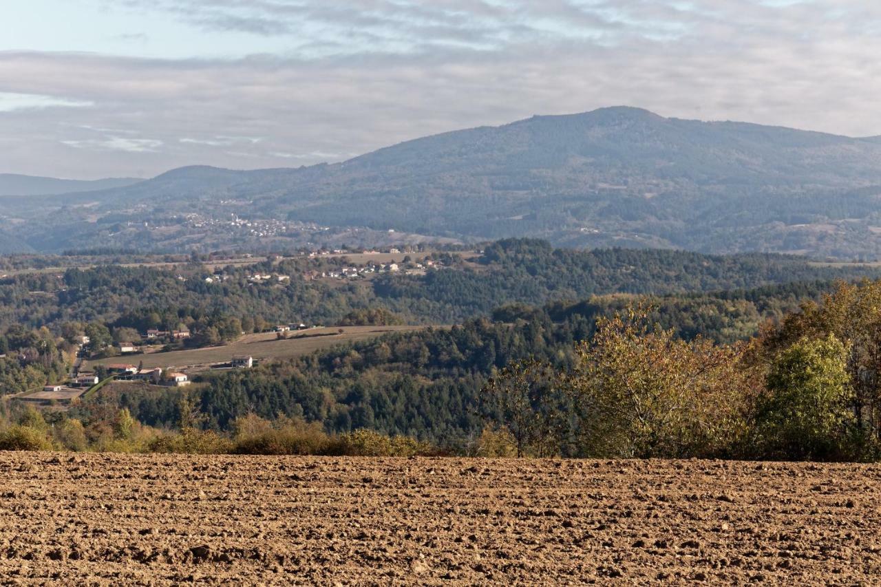 Gite De Sauviat 25 Chemin Du Grand Pacher Le Bourg De Sauviat 63120 מראה חיצוני תמונה